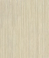 Lançamento 2025 - Tatame