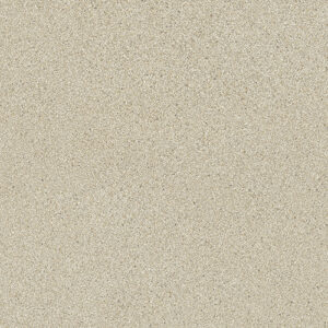 Lançamento 2025 - Niwa Natural SAP