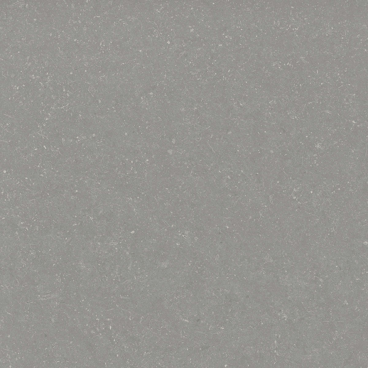 DOLOMITE NICHEL-90-TATTILE