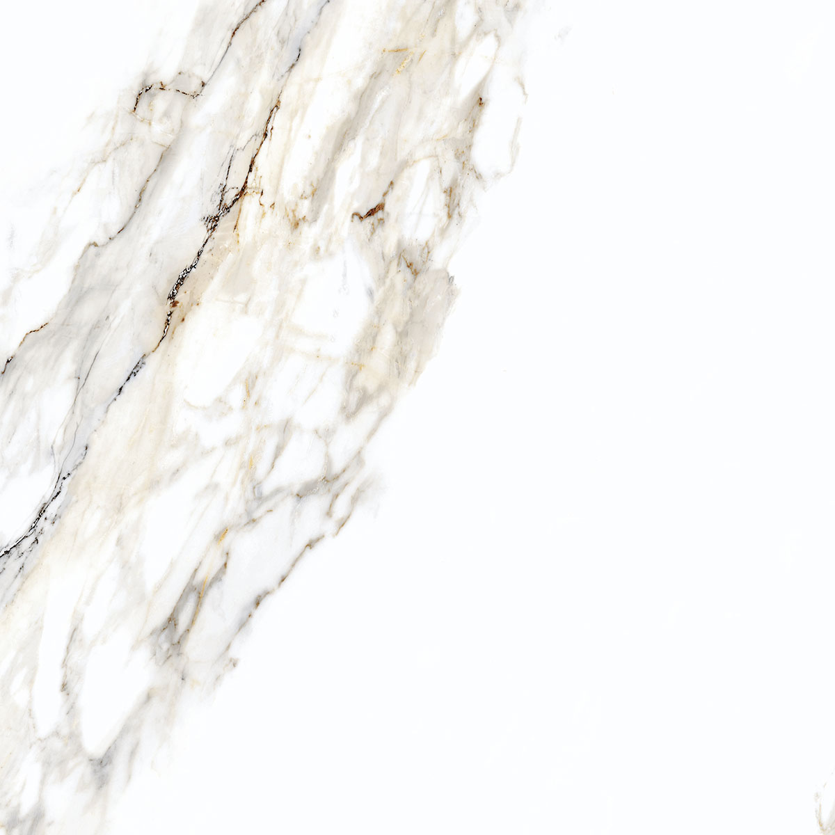 DHARMA ORO-90-POLIDO